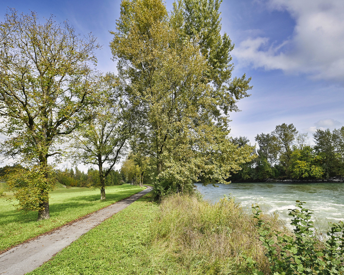Idyllische Naherholungsgebiete entlang der Reuss