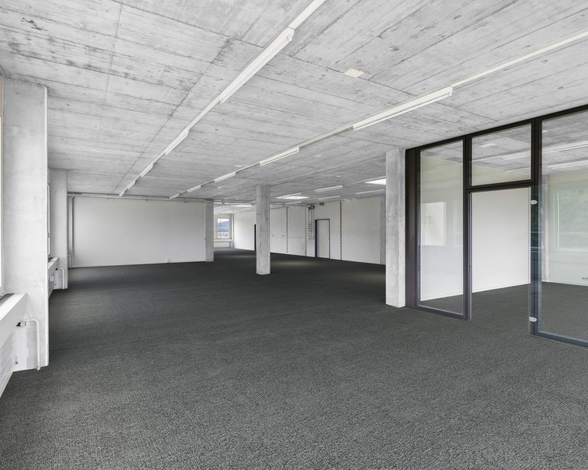 Offener Bürobereich mit Zugang zum Sitzungszimmer (Visualisierung Teppichboden)
