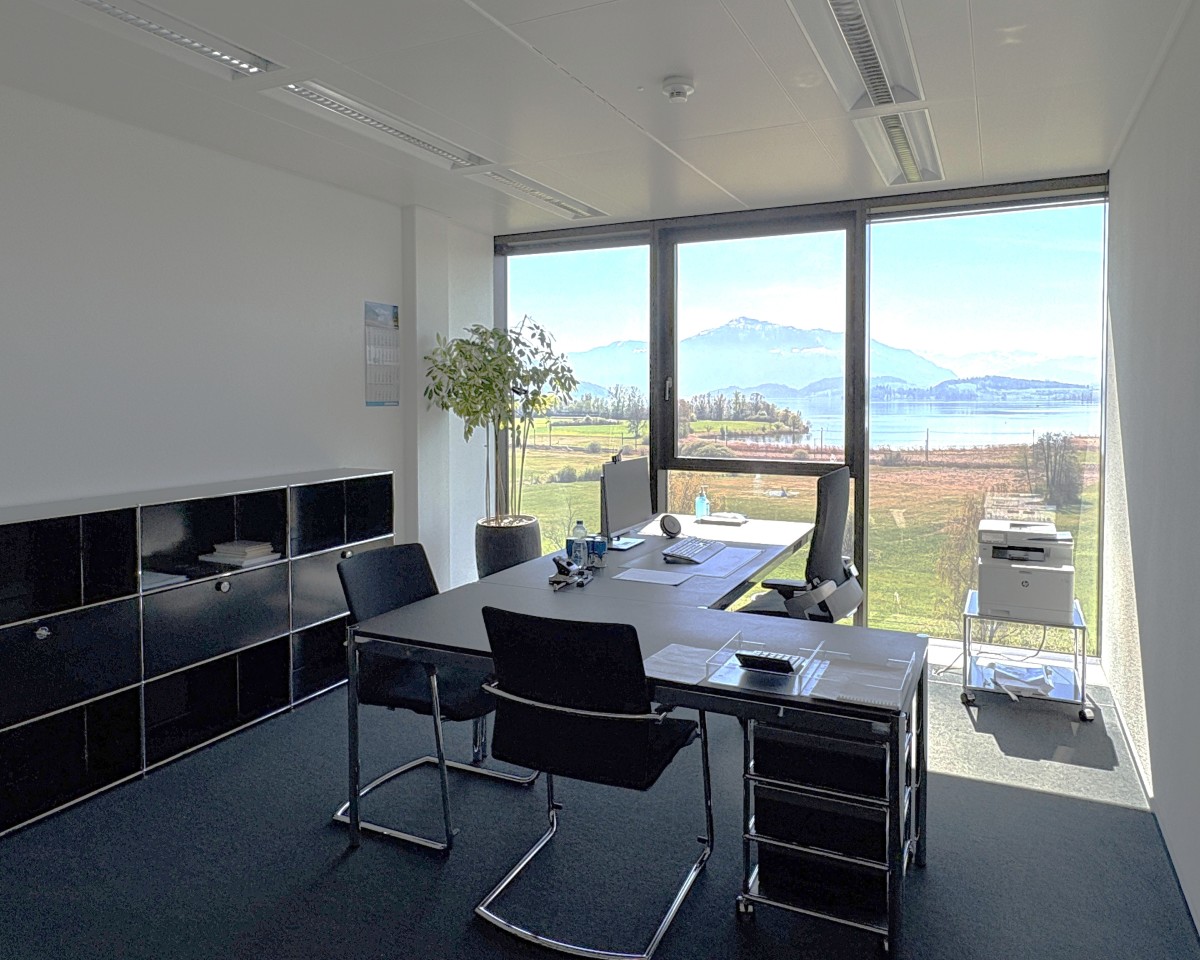 Modernes Einzelbüro mit See- und Bergsicht