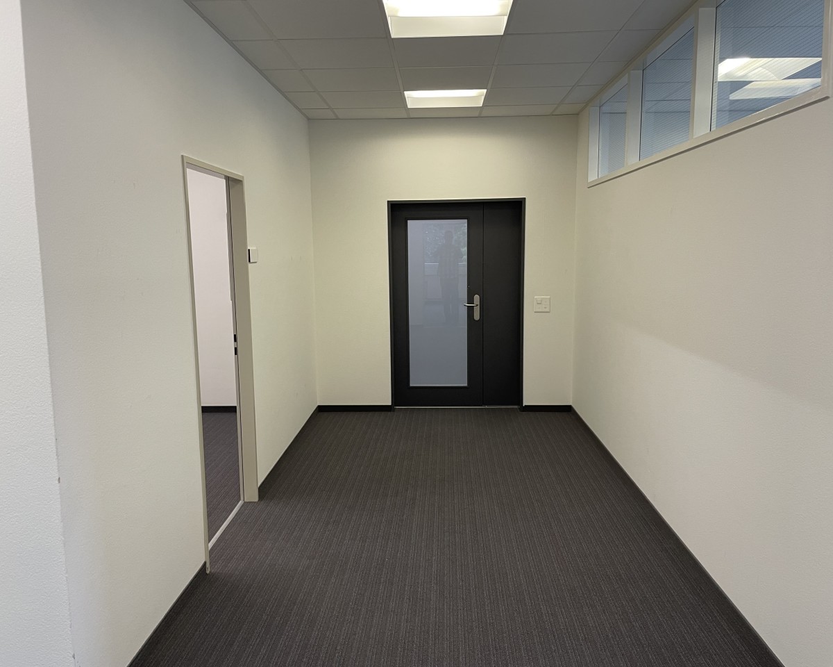 Eingangsbereich/Korridor