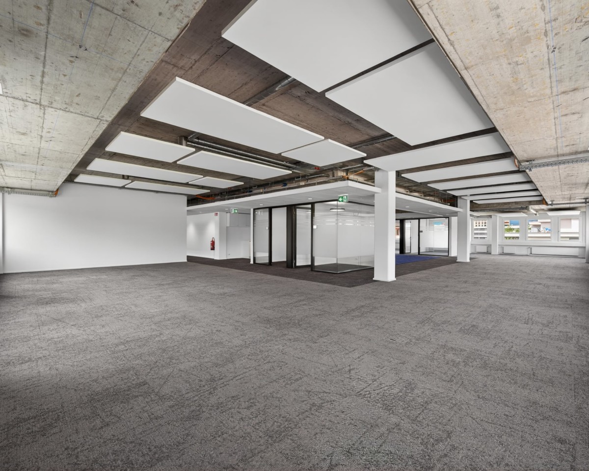 Grosszügiger Open Space mit Tageslicht