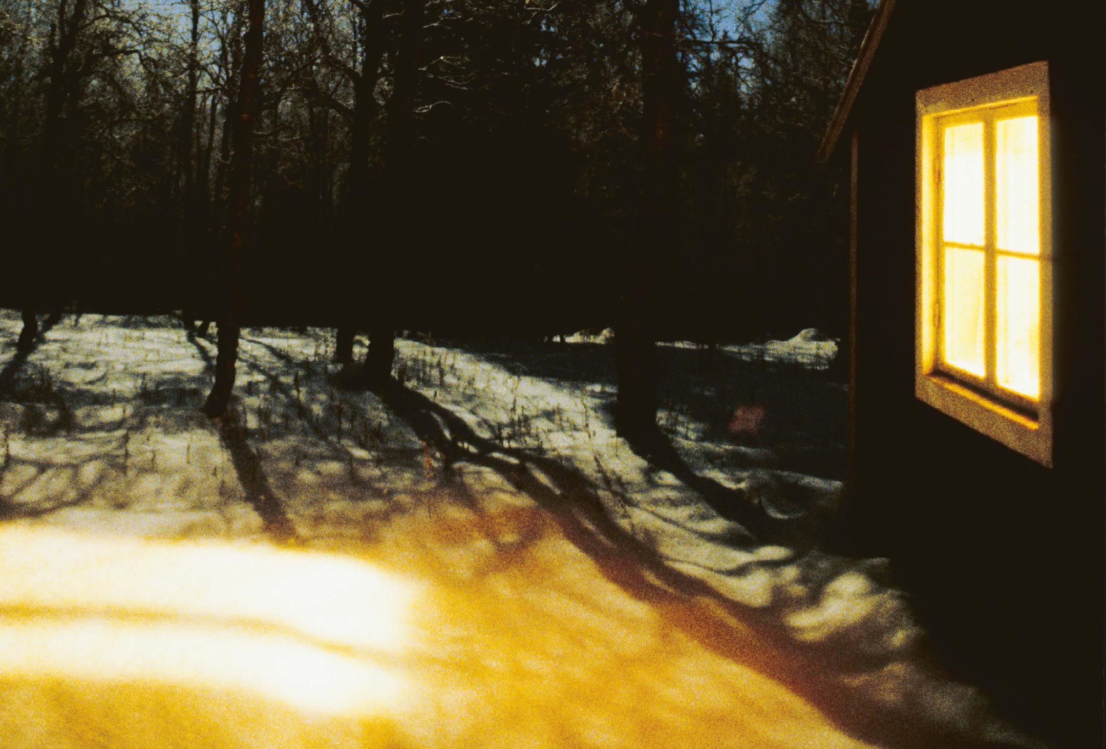 Photo Plainpicture, Jan Håkan Dahlström