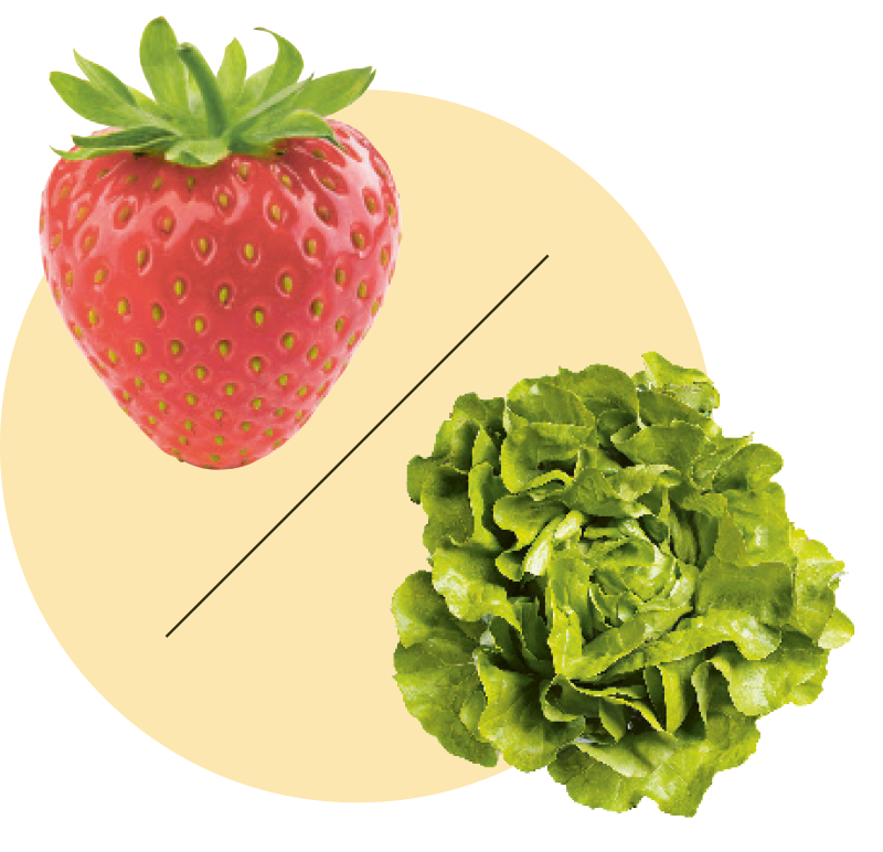 Photos: iStock, JimVallee