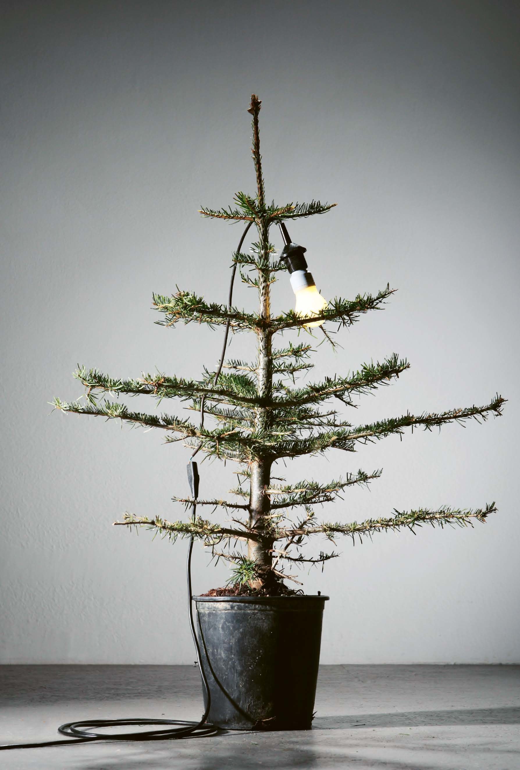 Photo Plainpicture, Helge Sauber