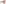 Foto: iStock