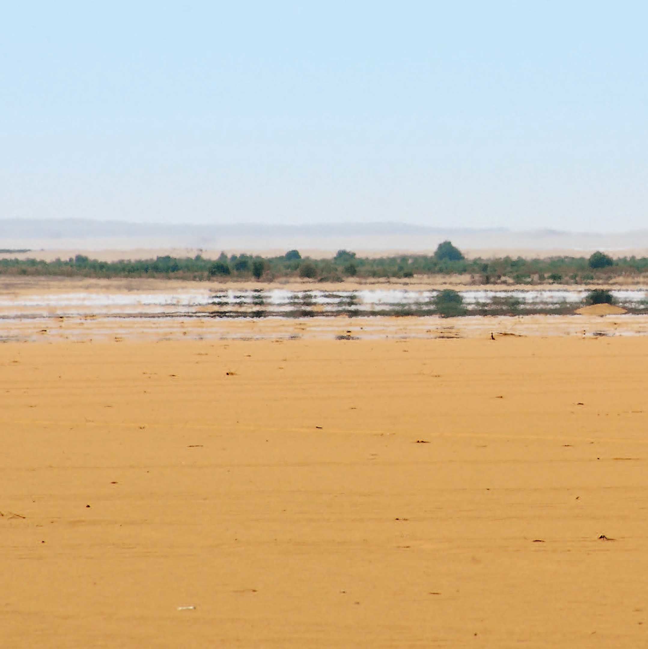 Illustration: iStock