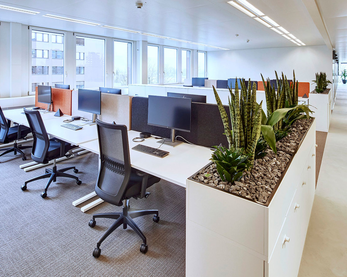 Zwölf Co-Working Arbeitsplätze - tageweise buchbar