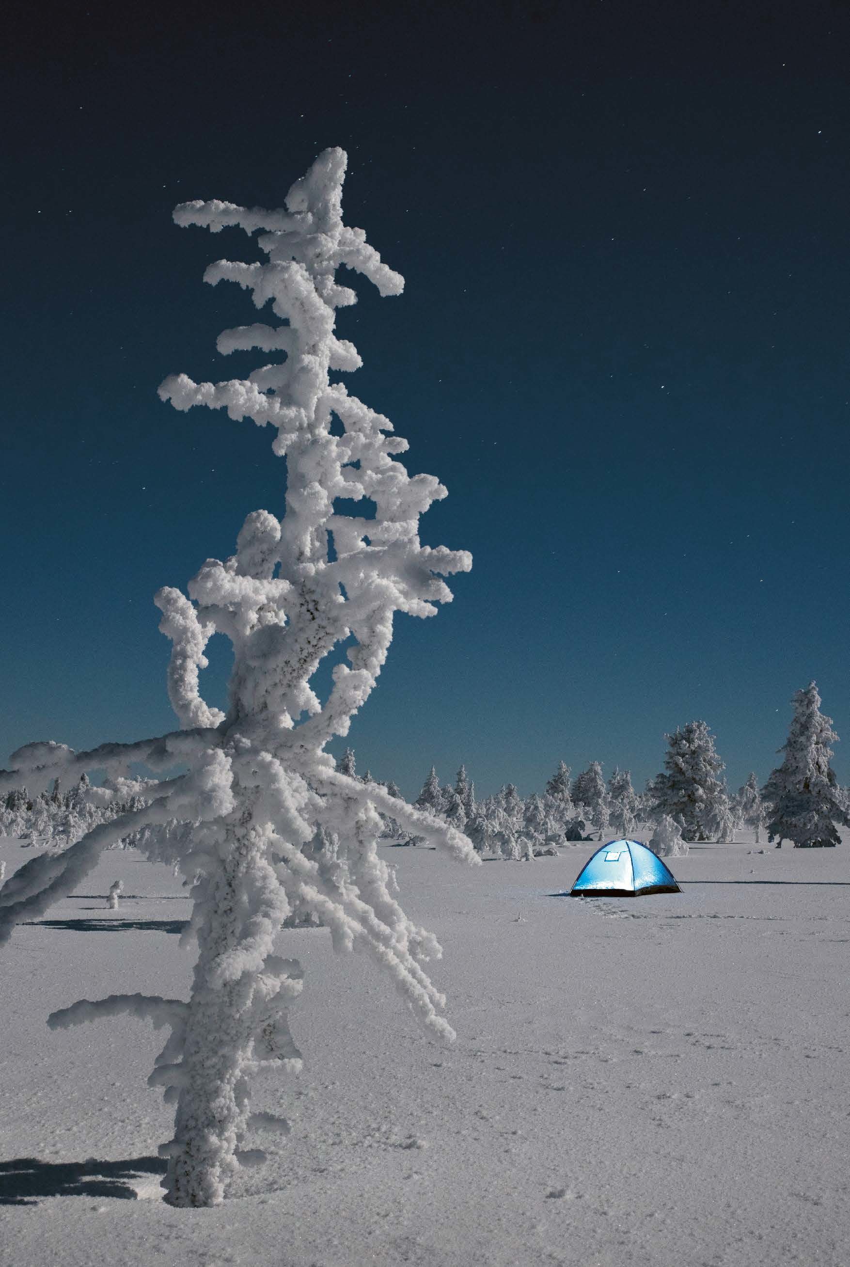 Photo Plainpicture, Topi Ylä-Mononen