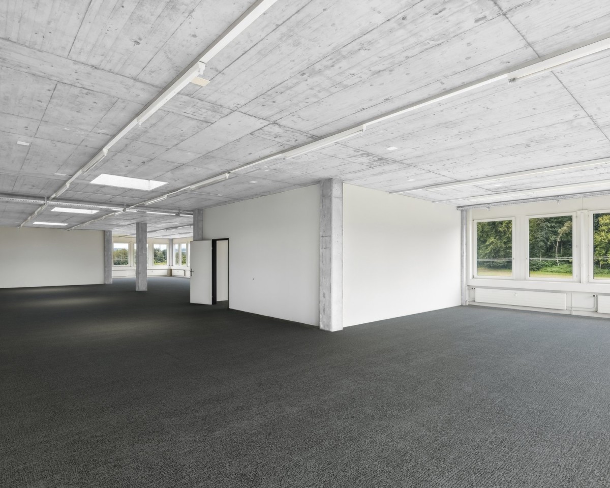 Offener Bürobereich (Visualisierung Teppichboden)