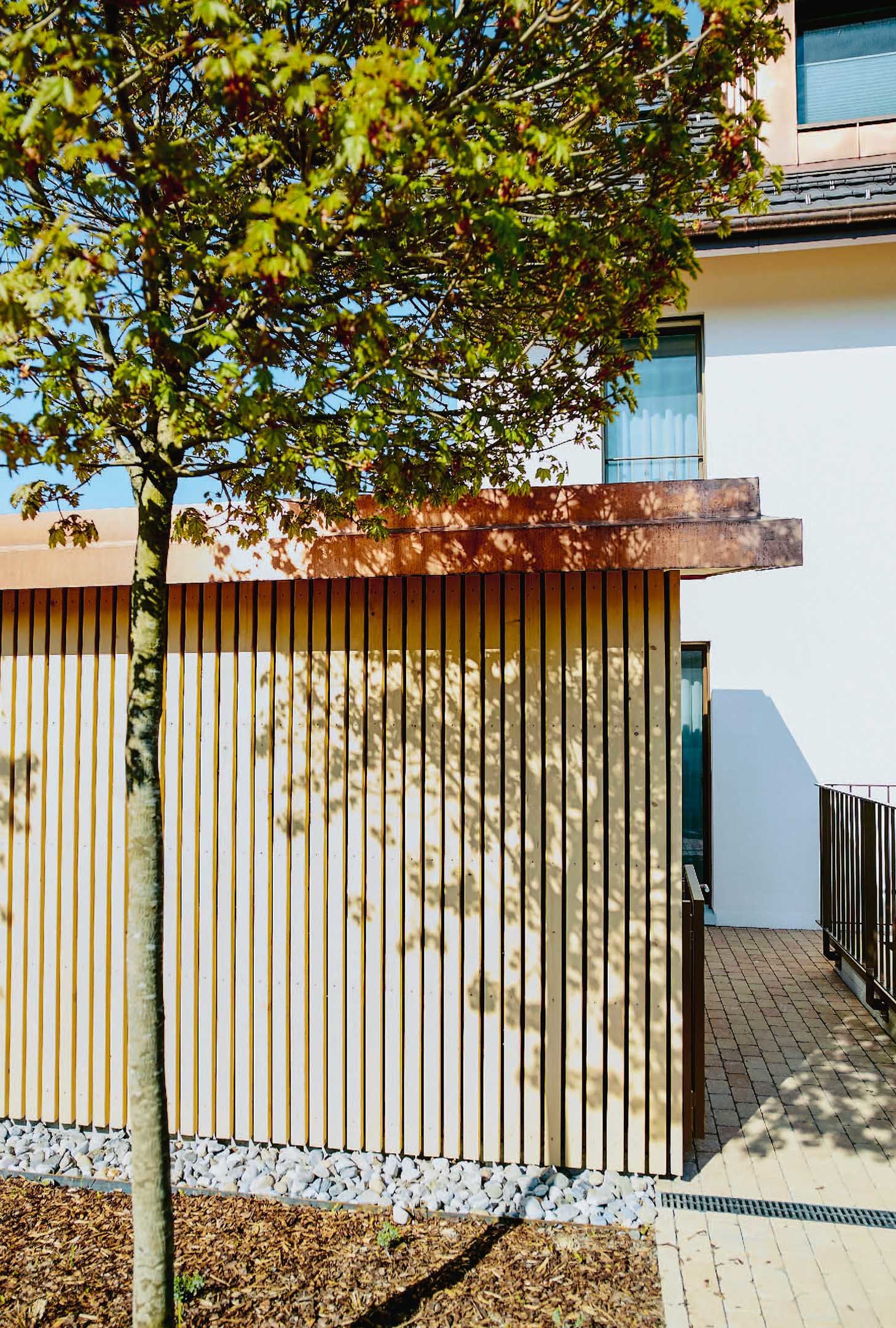 Im Sommer sorgt der einheimische Feldahorn bei den Eingängen der Wohnhäuser für angenehme Temperaturen.