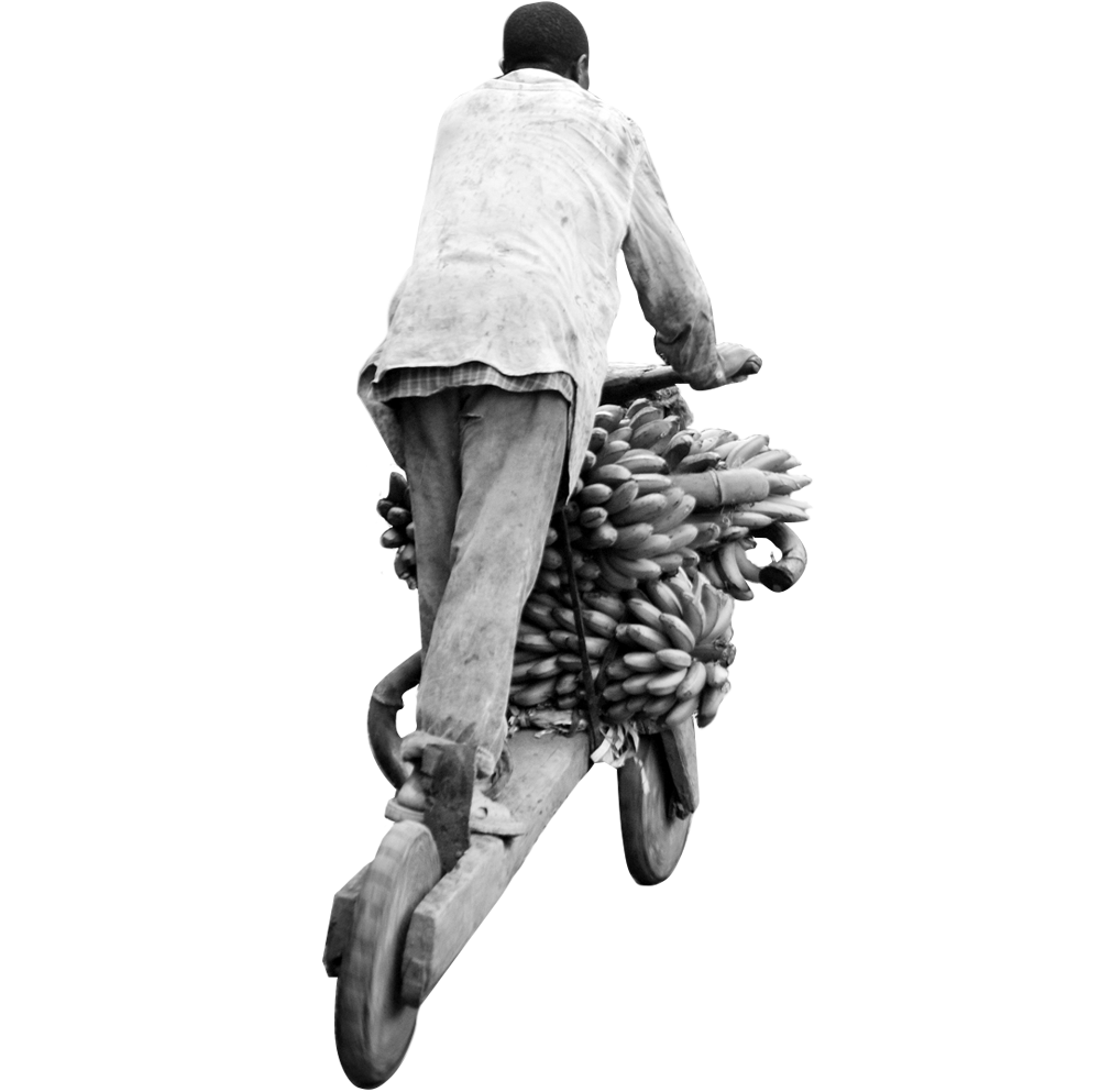 Foto: Neil Palmer, CIAT