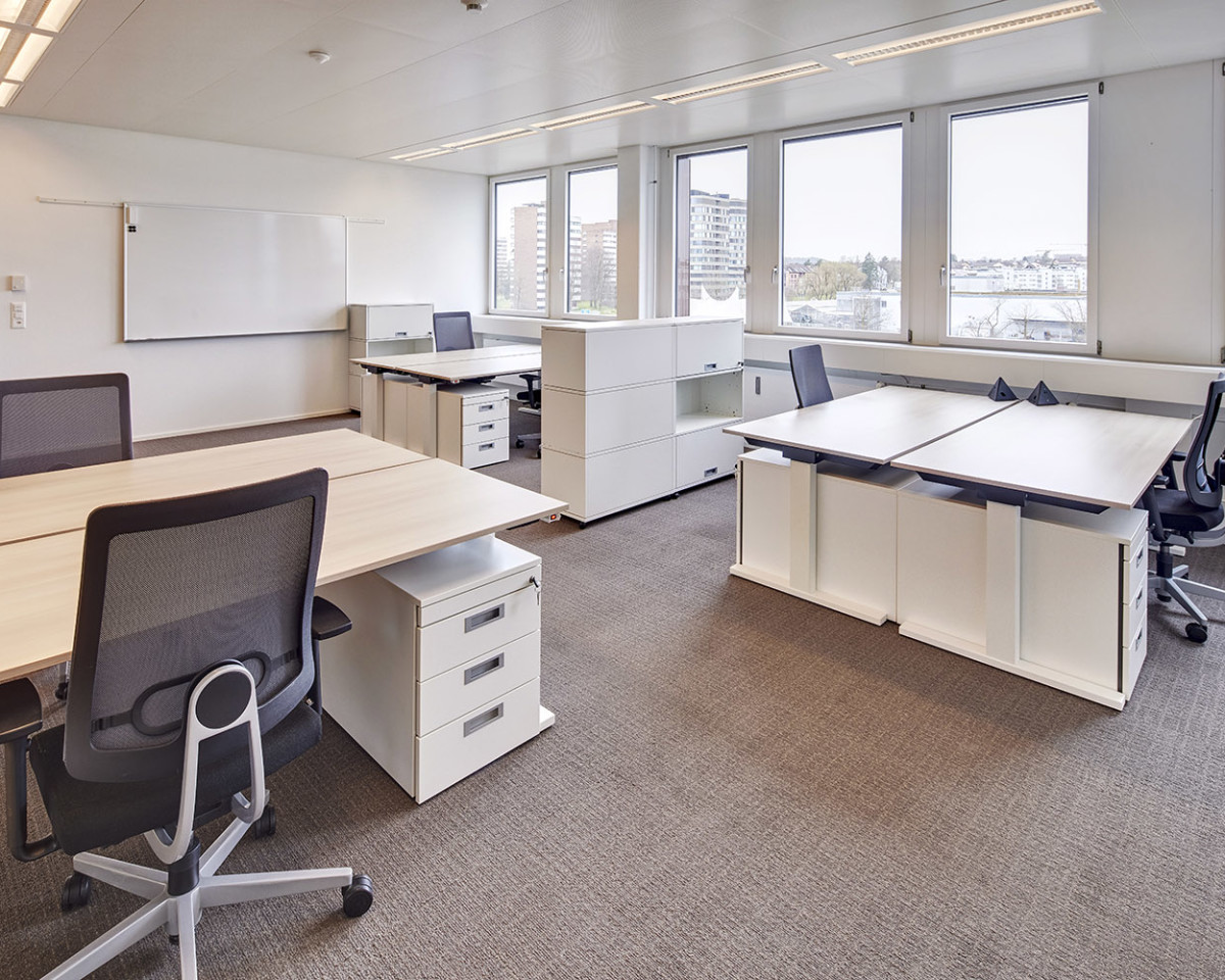 Teambüro mit Stil - Ideal für dynamische und kreative Teams