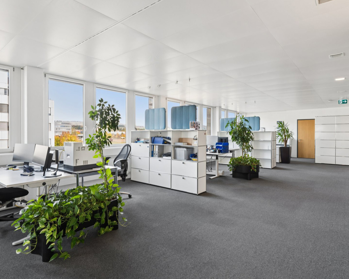 Grosszügige und helle Arbeitsbereiche