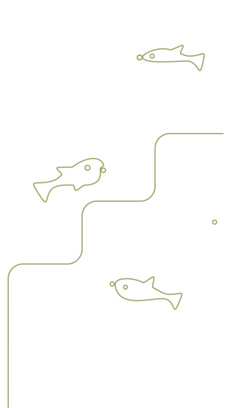 Bei der Sanierung des Unterwasserkanals  wurde der Fischabstieg  wiederhergestellt.